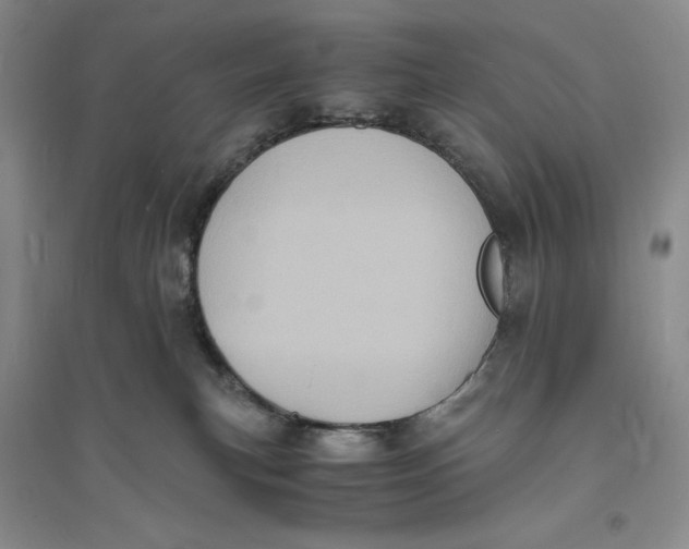 X0000094060183200711091137