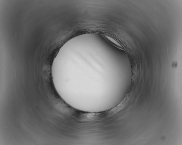 X0000094060184200711091137