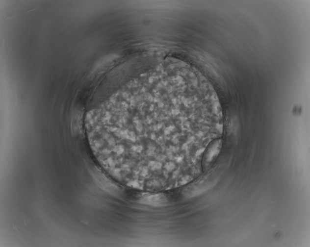 X0000094060185200711091137