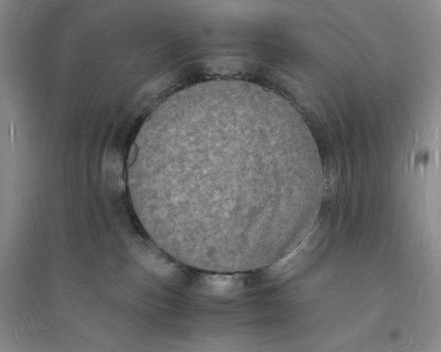 X0000094060187200711091137