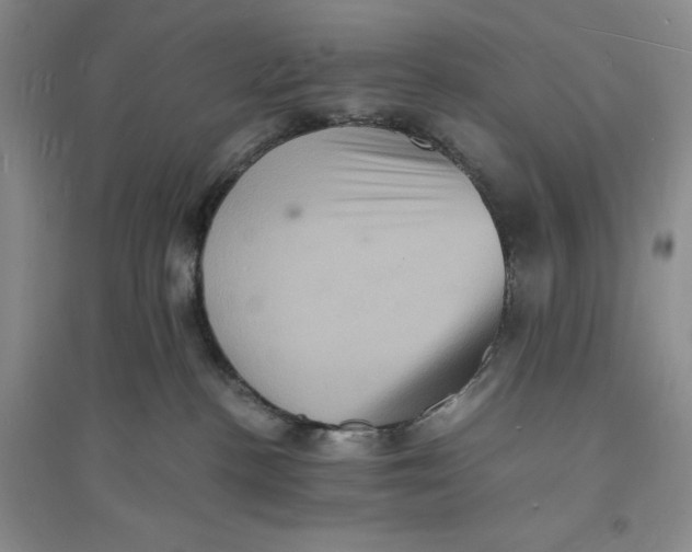 X0000094060188200711091137