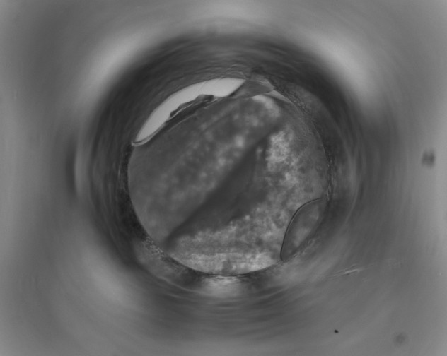 X0000094060189200711091137