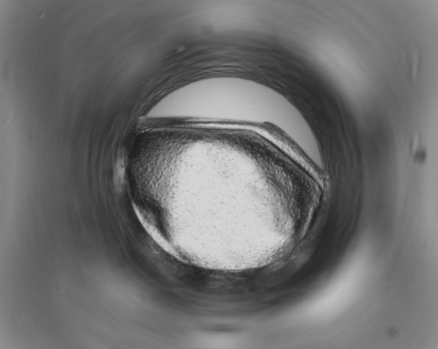 X0000094060190200711091137