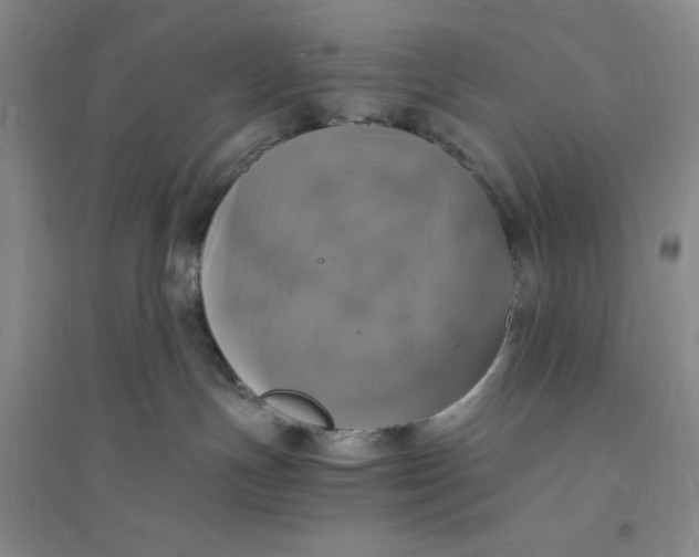 X0000094060191200711091137