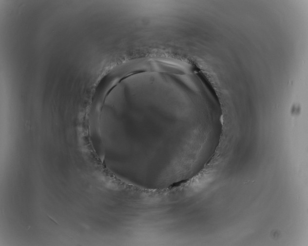 X0000094060192200711091137