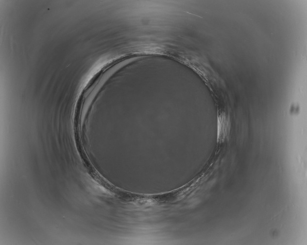 X0000094060195200711091136