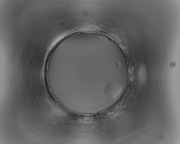 X0000094060196200711091136