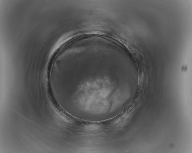 X0000094060198200711091136