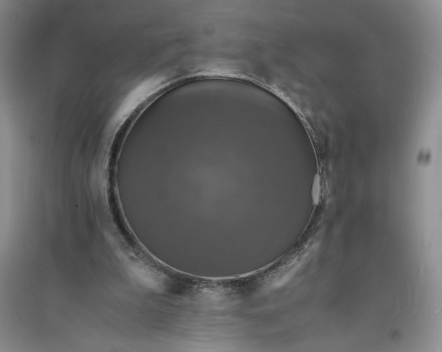 X0000094060199200711091136