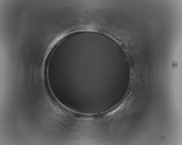 X0000094060200200711091136