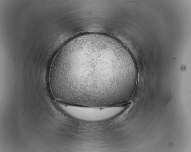 X0000094060201200711091136