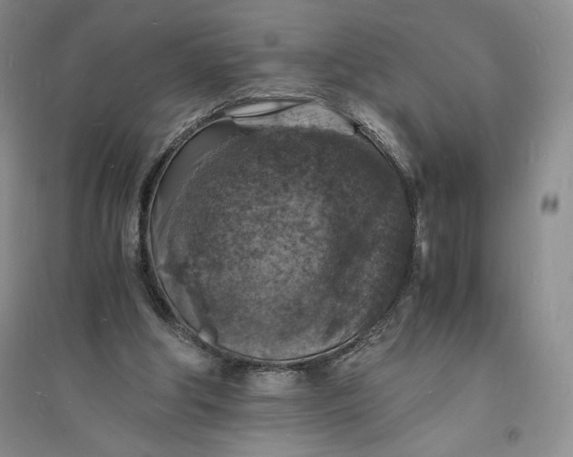 X0000094060202200711091136