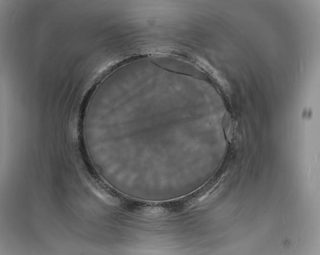 X0000094060203200711091136