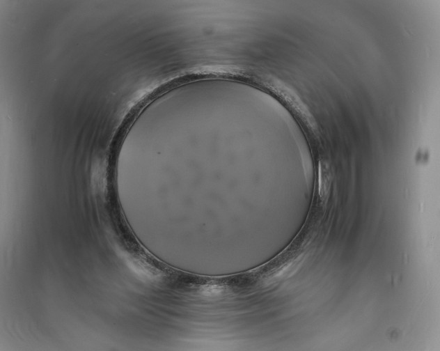 X0000094060204200711091136