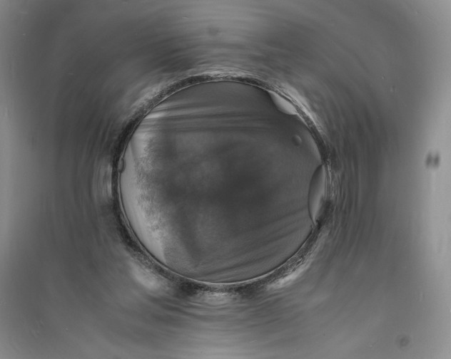 X0000094060205200711091136