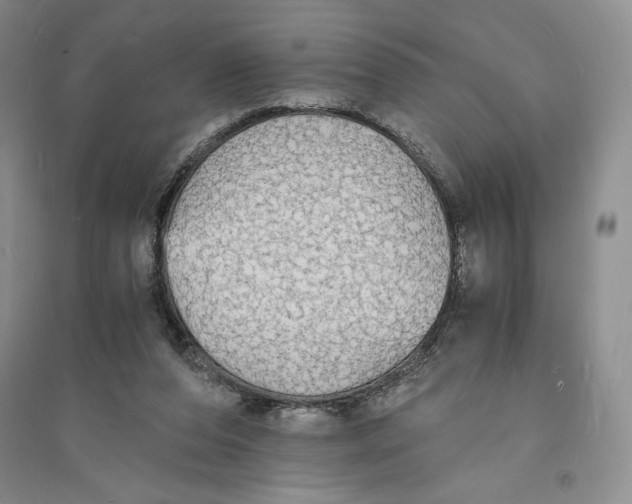 X0000094060208200711091136