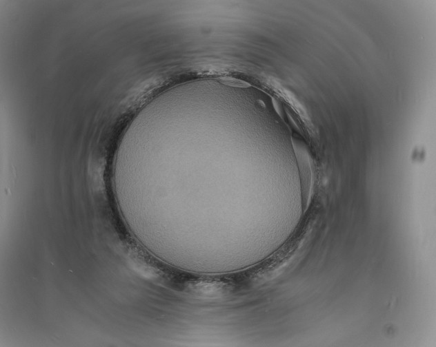 X0000094060209200711091136