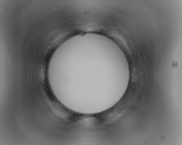 X0000094060210200711091136