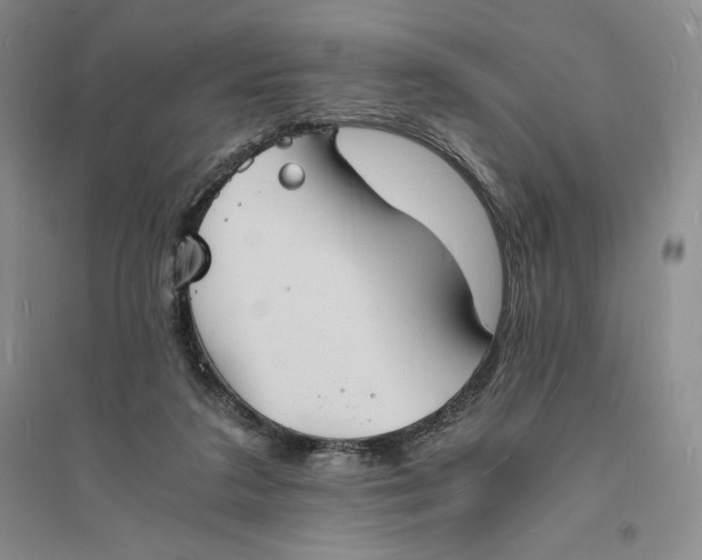 X0000094060211200711091136