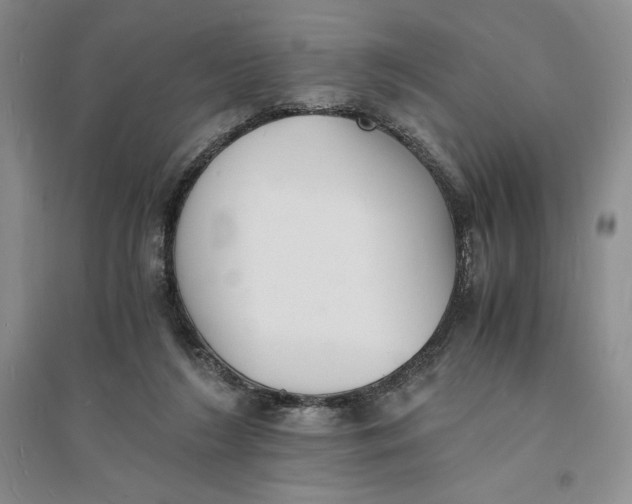 X0000094060212200711091136