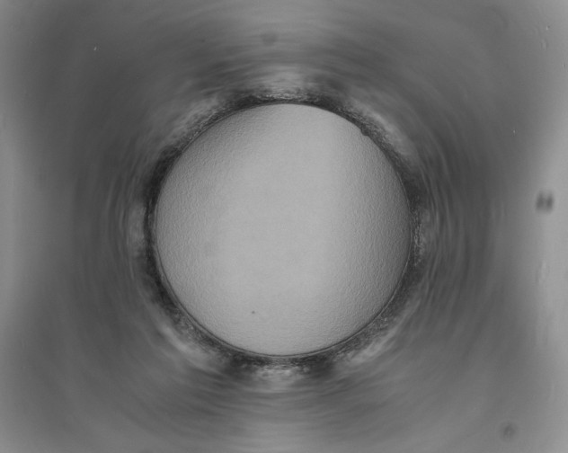 X0000094060213200711091136