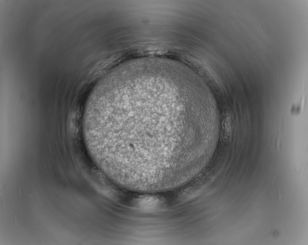 X0000094060218200711091136