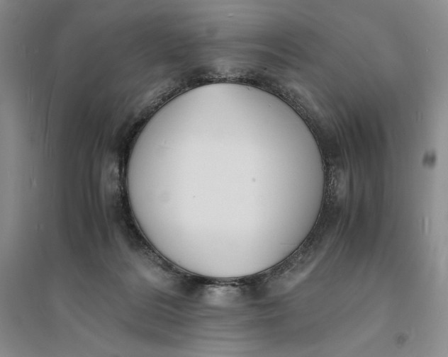 X0000094060220200711091136