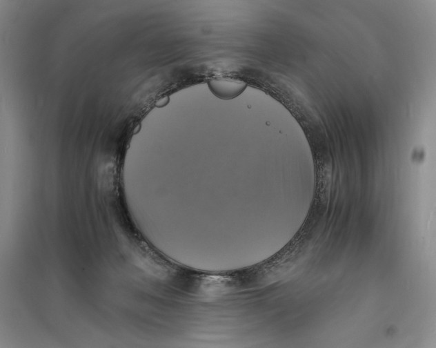 X0000094060222200711091136