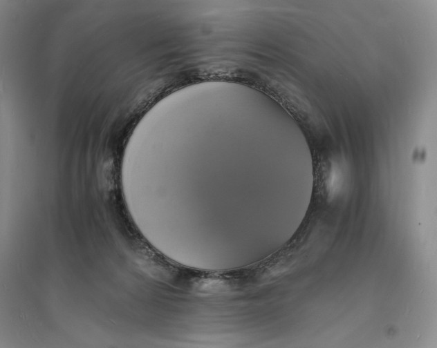 X0000094060224200711091136