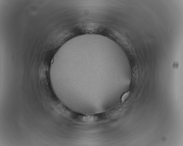 X0000094060225200711091136