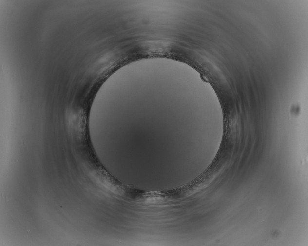 X0000094060228200711091136