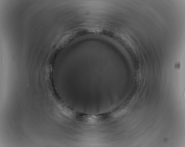 X0000094060229200711091136