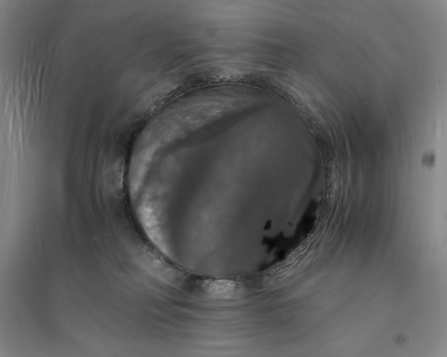 X0000094060230200711091136