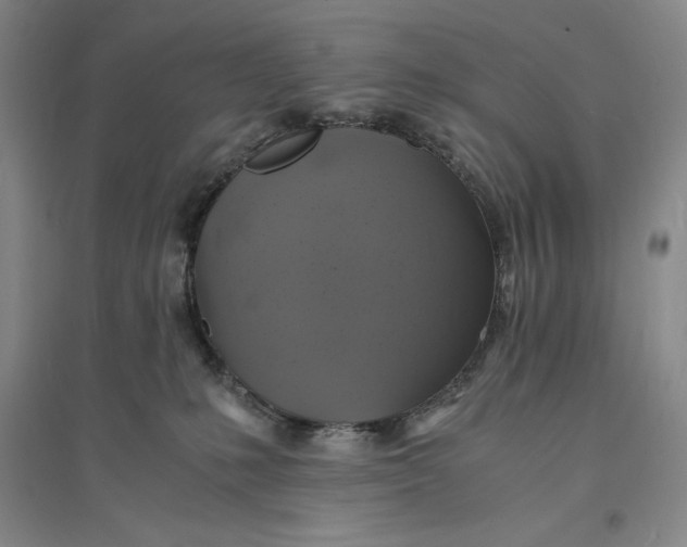 X0000094060231200711091136