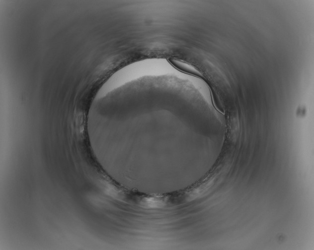 X0000094060232200711091136