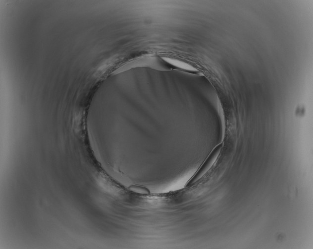 X0000094060233200711091136