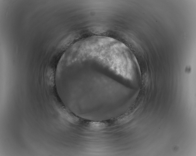 X0000094060234200711091136