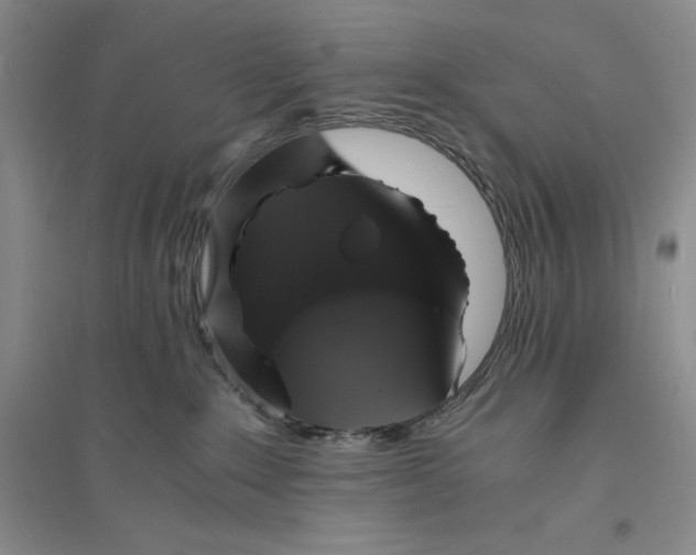 X0000094060235200711091136