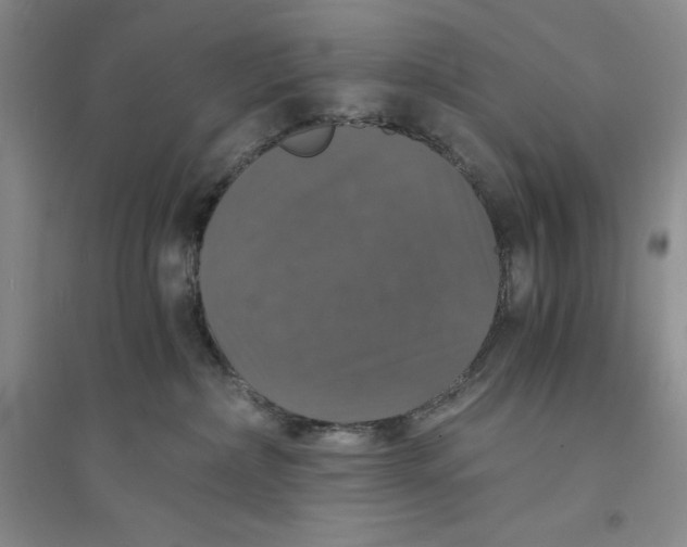 X0000094060236200711091136