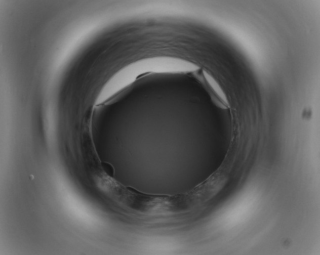 X0000094060239200711091136