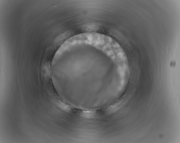 X0000094060240200711091136