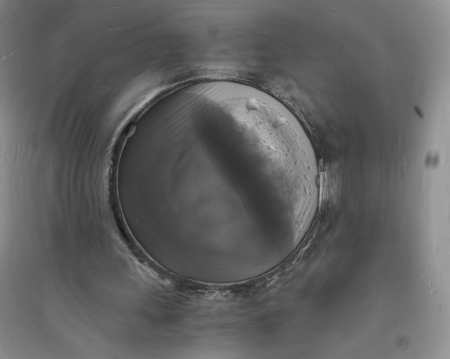 X0000094060243200711091135