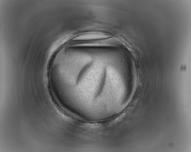 X0000094060245200711091135