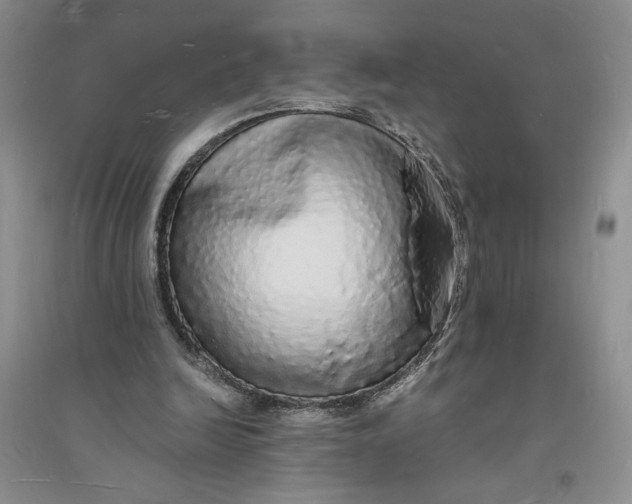 X0000094060246200711091135