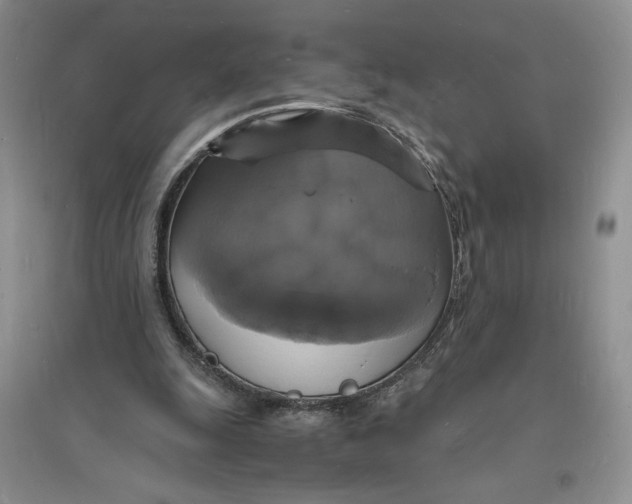 X0000094060247200711091135