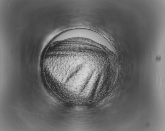 X0000094060248200711091135