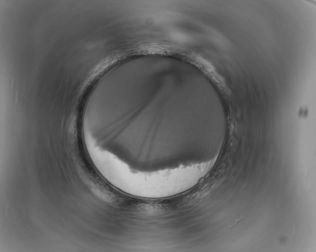 X0000094060250200711091135