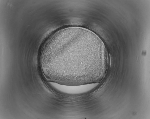 X0000094060252200711091135