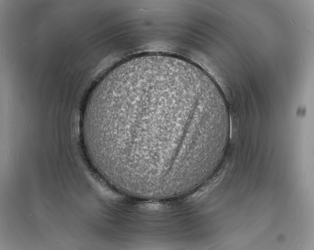 X0000094060253200711091135