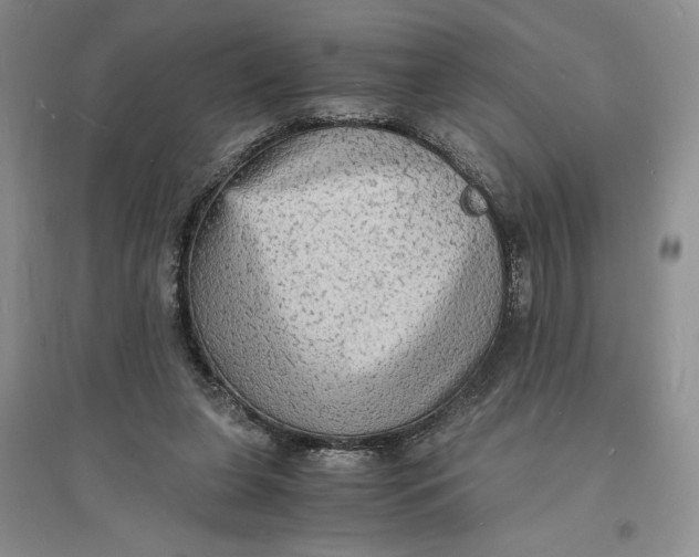 X0000094060255200711091135